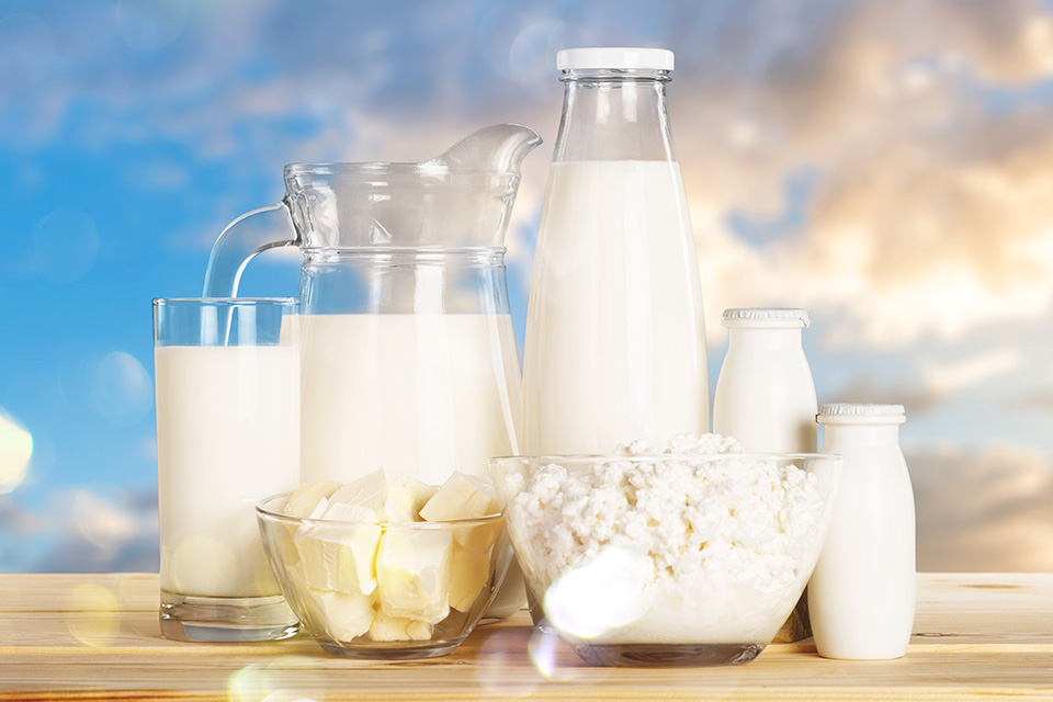 Aromsa | Bizden Haberler | Süt ve Süt Ürünlerinin Döngüsel Ekonomiye Katkısı ve İnovatif Fırsatları

